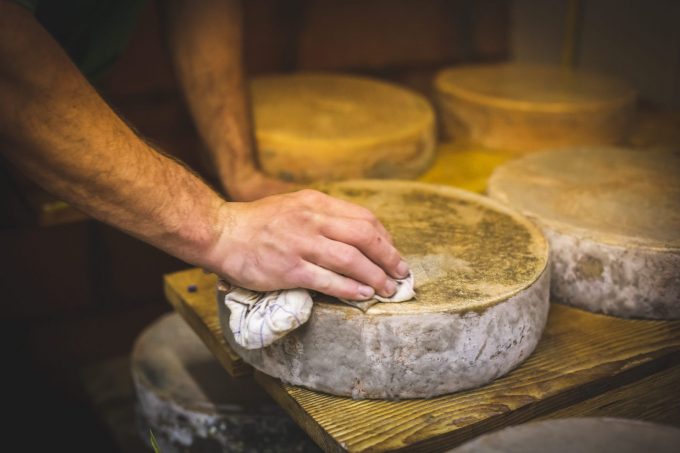 Visit the goat farm and taste the cheese_Villard-Reculas